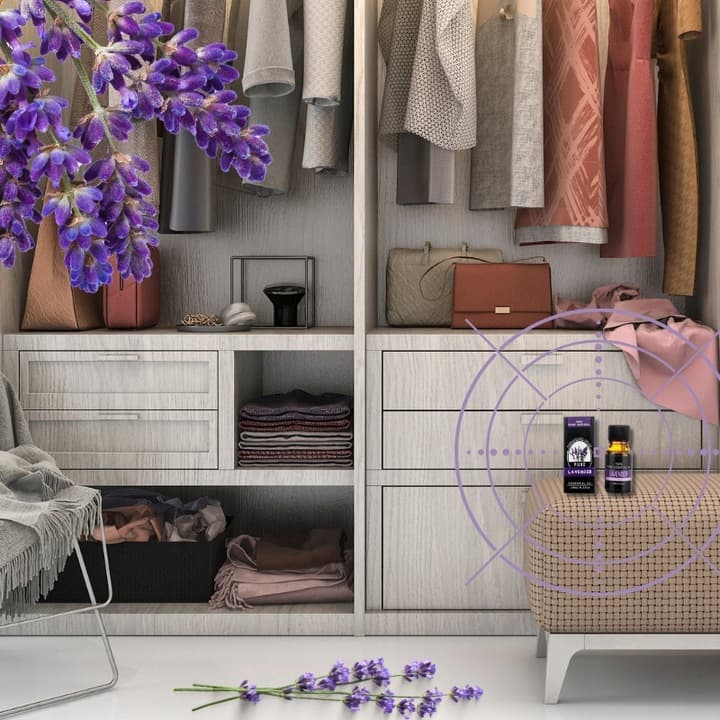 C8_tds0547_10x Olejek eteryczny LAWENDA